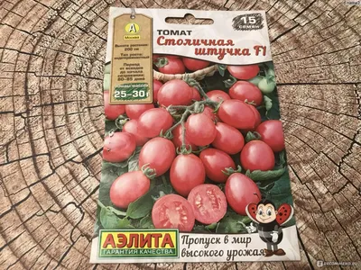 Томат Безрассадный
