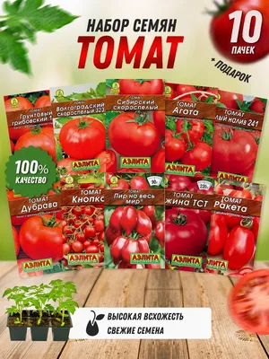 Томат Раритет в магазине Elya Garden - Семена