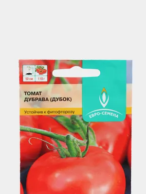🌱 Томат (Помидор) обыкновенный Юниор по цене от 130 руб: рассада, саженцы  - купить в Москве с доставкой - интернет-магазин Все Сорта
