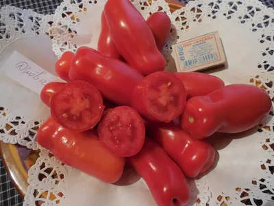 Томат Дубрава (Дубок) 0,1г / Евро - семена купить по цене 24 ₽ в  интернет-магазине KazanExpress