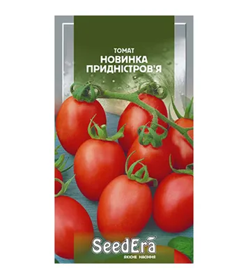 Томат Ленинградский сердцевидный • Томат сердцевидный, Отзывы Описание, Фото