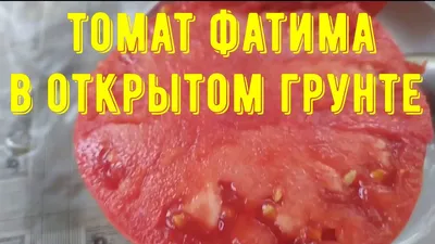 Томат Фатима, 0.1 г купить 〛по выгодной цене в Киеве и Украине | Фото |  Отзывы