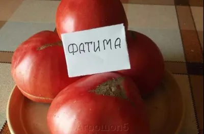 Томат Фатима. 0, 1 грамм. Семена Крыма. Десертный розовоплодный томат с  огромными плодами. Низкорослый сорт - 26 руб/уп. в Симферополе. Купить по  выгодной цене на Satom.ru. Отзывы, ID: 422164656.