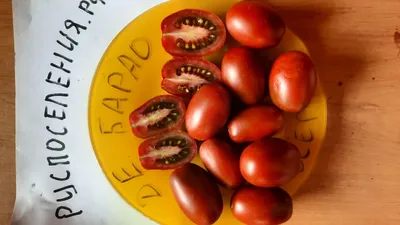 Семена томатов Агробиоцентр 177052945 купить за 286 ₽ в интернет-магазине  Wildberries