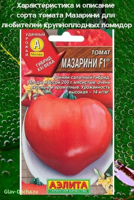 Томат Мазарини: характеристика и описание сорта помидора
