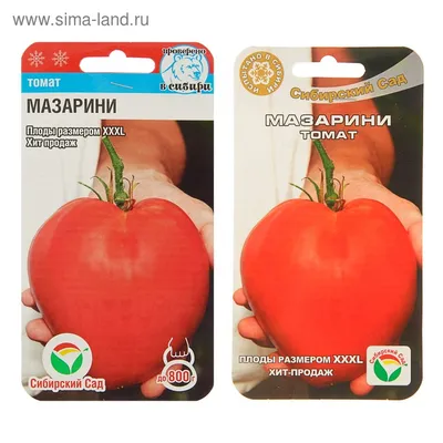 Семена Томат \"Мазарини\", среднеспелый, 20 шт (2746653) - Купить по цене от  24.50 руб. | Интернет магазин SIMA-LAND.RU