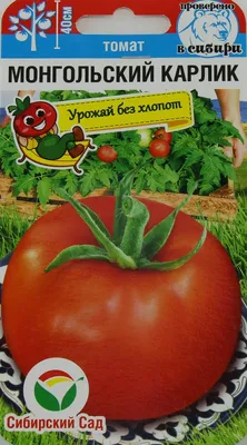 Монгольский карлик, купить семена почтой | ОГОРОД.сайт