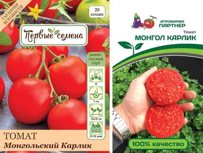 Семена Томат Монгольский карлик: описание сорта, фото - купить с доставкой  или почтой России