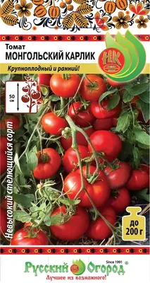 Семена Томат Монгольский карлик: описание сорта, фото - купить с доставкой  или почтой России