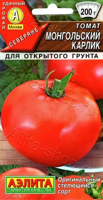 Проверенный сорт томатов - Монгольский карлик