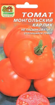 Томат Монгольский карлик 10шт, семена | Купить в интернет магазине Аэлита