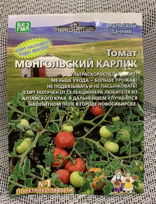 Семена томата Монгольский карлик с доставкой