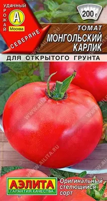 Томат Монгольский карлик УД (семена) купить по цене 97.9 ₽ в  интернет-магазине KazanExpress