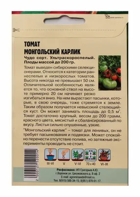 Томат Монгольский карлик - описание сорта, фото, отзывы, урожайность и все  характеристики подробно
