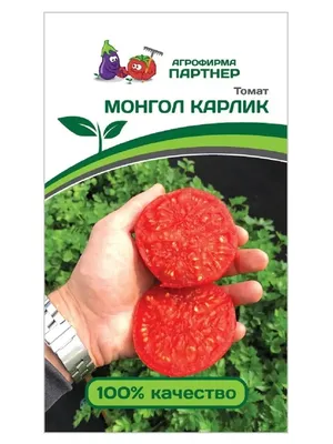 Монгольский карлик, купить семена почтой | ОГОРОД.сайт