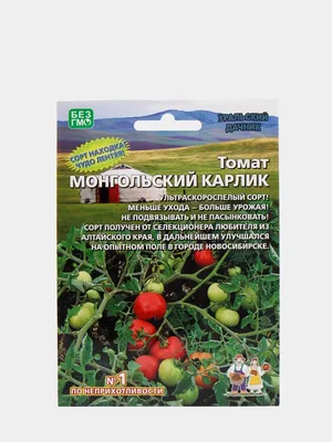 Томат Монгольский Карлик 8 шт. купить оптом в Томске по цене 28,92 руб.