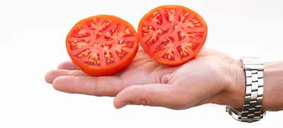 Монгольский карлик