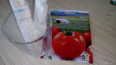 Семена Томат \"Монгол Карлик\",10 шт. (5481543) - Купить по цене от 91.00  руб. | Интернет магазин SIMA-LAND.RU