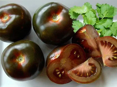 Почему черные помидоры намного вкуснее обычных | Ложка-Поварёшка все о  пользе и вреде еды и способах ее правильного приготовления