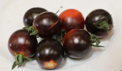 Сорт томатов Черный принц, описание, характеристика и отзывы, а также  особенности выращивания