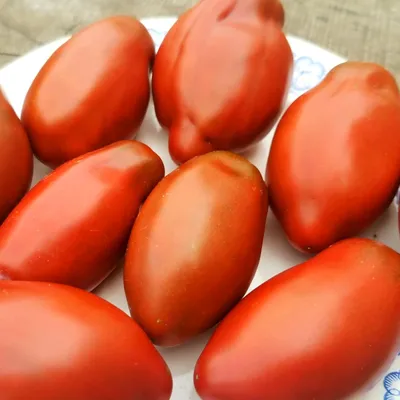 ЧЁРНЫЕ и СИНИЕ томаты - это КЛАСС! Опыт выращивания нескольких сортов - 7  дач - YouTube