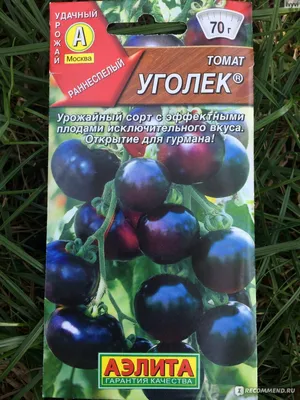 Томат Черный Крым • Описание, ОТЗЫВЫ(17), фото, семена, купить