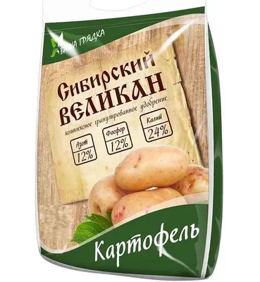 Многоцелевой урожайный сорт картофеля Челленжер - YouTube