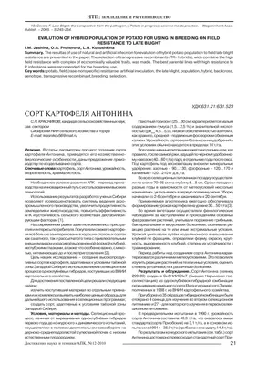 О новых сортах картофеля, пригодных для Сибири и устойчивых к фитофторозу и  нематоде, рассказали селекционеры - KP.RU