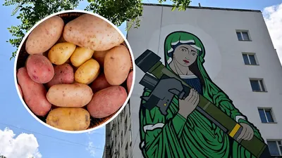 Картофель Мирами и Джавелина - в Украине вывели новые сорта, фото | РБК  Украина