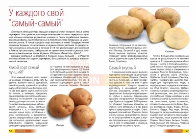 Картофель: новые сорта и технологии - купить недорого интернет магазин с  доставкой по Украине |Sezon