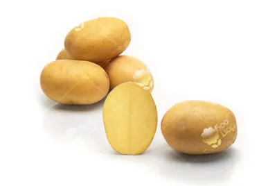 100-тонная Княгиня: сорт картофеля показывает рекордную урожайность