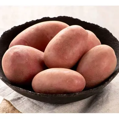 Продам/купить картофель Сарпо Мира уже в Украине — Agro-Ukraine