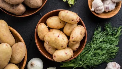 Картофель этих сортов ранний и вкусный - названия и фото | РБК Украина
