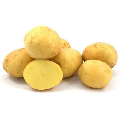 Интересные факты о картофеле — Latifundist.com