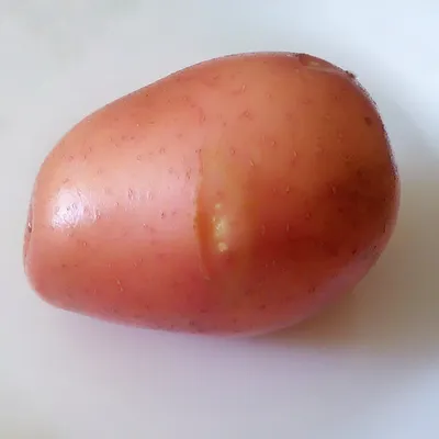 Сорт Гала - Семенной Картофель, ранний, клубни на посадку, немецкий