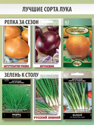 Лук Тоска (Moravoseed) - купить семена в Украине: отзывы, цена, описание ᐉ  Agriks
