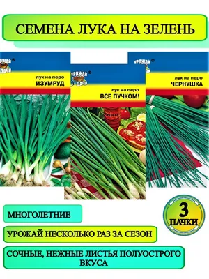 Лук Урожай удачи Дивный сад - купить по выгодным ценам в интернет-магазине  OZON (864096136)