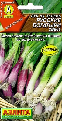 Лук на зелень Русские богатыри, смесь 1г, семена | Купить в интернет  магазине Аэлита