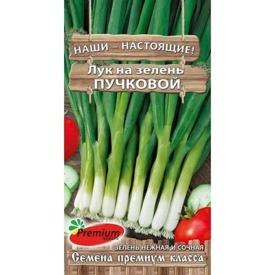 Лук на зелень Русские богатыри, смесь сортов - Садовый центр «СадОК»