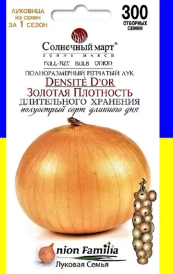 Отзыв о Лук-севок Все сорта \"Ред Барон\" | Красный сорт. Красивый, полезный,  вкусный