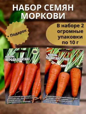 Семена моркови Каротель купить в Украине | Веснодар