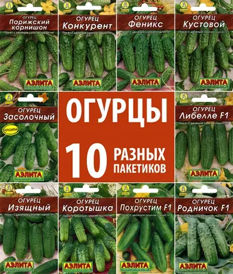 Лучшие сорта огурцов для засолки и салатов – популярные сорта и гибриды  огурцов