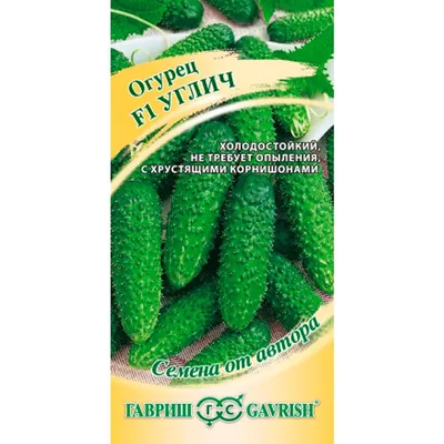 Возродим лучшие народные сорта огурцов с настоящим огуречным вкусом и  запахом
