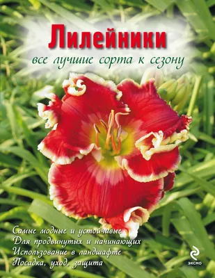 Иллюстрация 1 из 1 для Самые красивые цветы для сада. Справочник цветовода  - Наталья Власова | Лабиринт - книги. Источник: Лабиринт