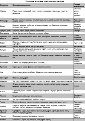 Что можно сажать на одной грядке. Какие овощи не совместимы. - YouTube