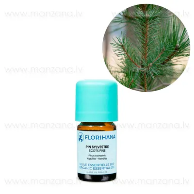 Pinus eldarica - Изображение особи - Плантариум
