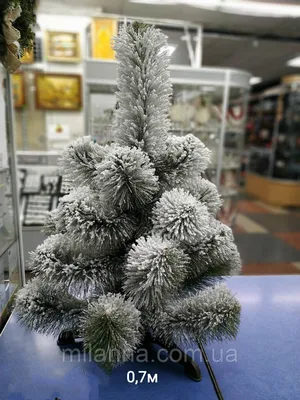 Купить Сосна искусственная с цельной иголкой 2,6 м. , цена, доставка в  Киеве, Харькове и по Украине | Интернет-магазин Folding