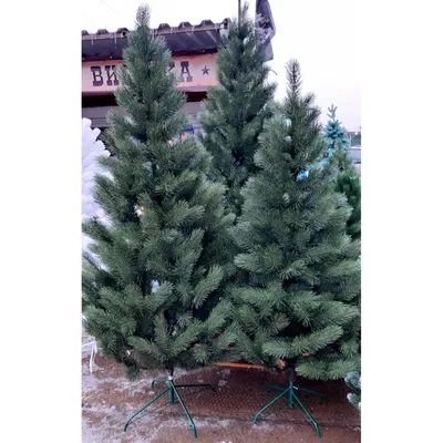 Искусственная сосна Изумрудная 215 см, ЛИТАЯ + ПВХ, Triumph Tree 73662 -  20'390 руб - купить в интернет магазине \"Морозко\", узнать характеристики,  описание, цену, отзывы