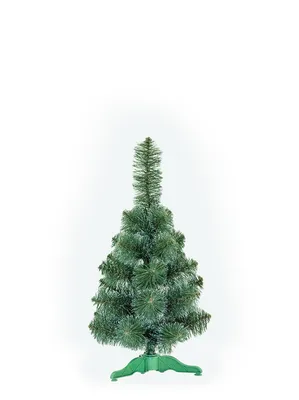 Сосна горная `Мини мини`, Pinus mugo `Mini Mini` | СадПарад
