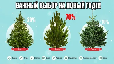 Елка Карпатская 2,20 м зеленая искусственная,елка 2023 из ПВХ, пышное  новогоднее дерево. Сосна новый год (ID#1484547982), цена: 1691.10 ₴, купить  на Prom.ua